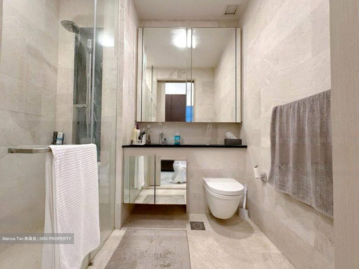 The Boutiq (D9), Apartment #464105831